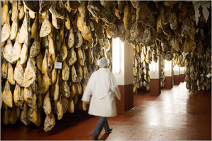 curemaster walking through curing room with hanging hams